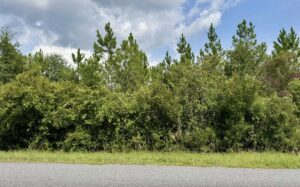 Property photo for land for sale in Hamilton County Florida