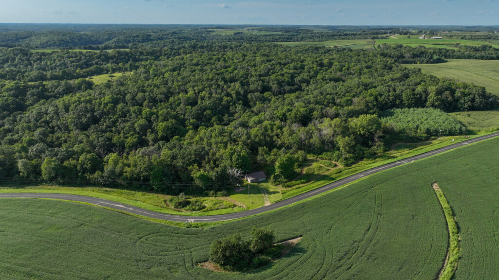 13f827a7-f1d0-4c7e-8859-d1779749b649.jpg