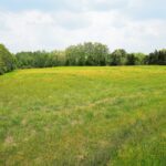 Property photo for land for sale in Green County Kentucky