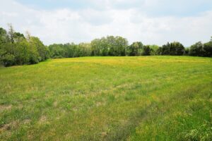 Property photo for land for sale in Green County Kentucky
