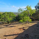 Property photo for land for sale in  County Panama