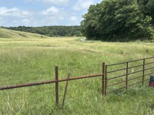 Property photo for land for sale in Delaware County Oklahoma