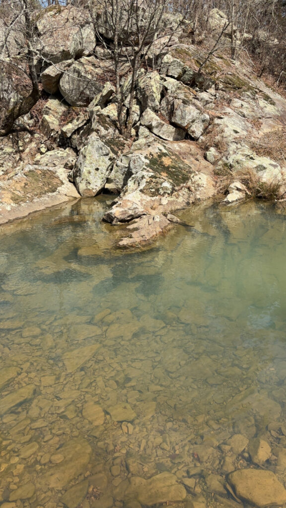 1867ab31-76a8-440e-9b8c-9d4c11f5653c.jpg