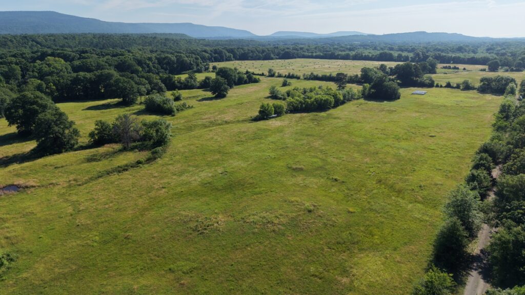 1bd90bc6-4dc4-4ddd-8f89-7405b185db0e.jpg