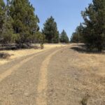 Property photo for land for sale in Modoc County California