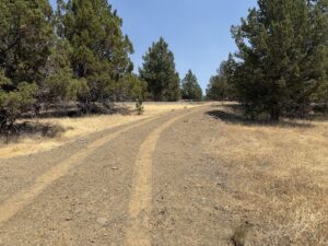 Property photo for land for sale in Modoc County California