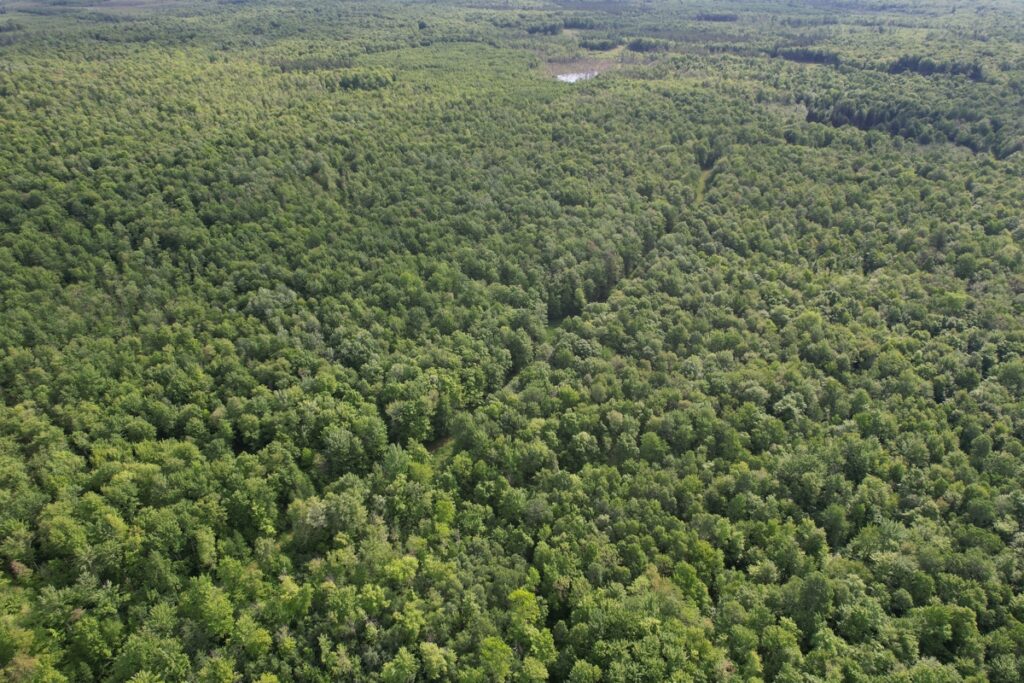 Property photo for land for sale in Price County Wisconsin