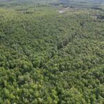 Property photo for land for sale in Price County Wisconsin