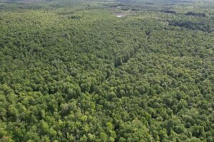Property photo for land for sale in Price County Wisconsin