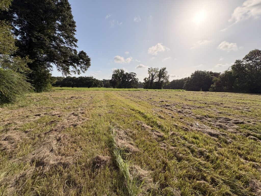 1d5512c8-9941-4e8d-80ac-9cdeaf7a25bb.jpg