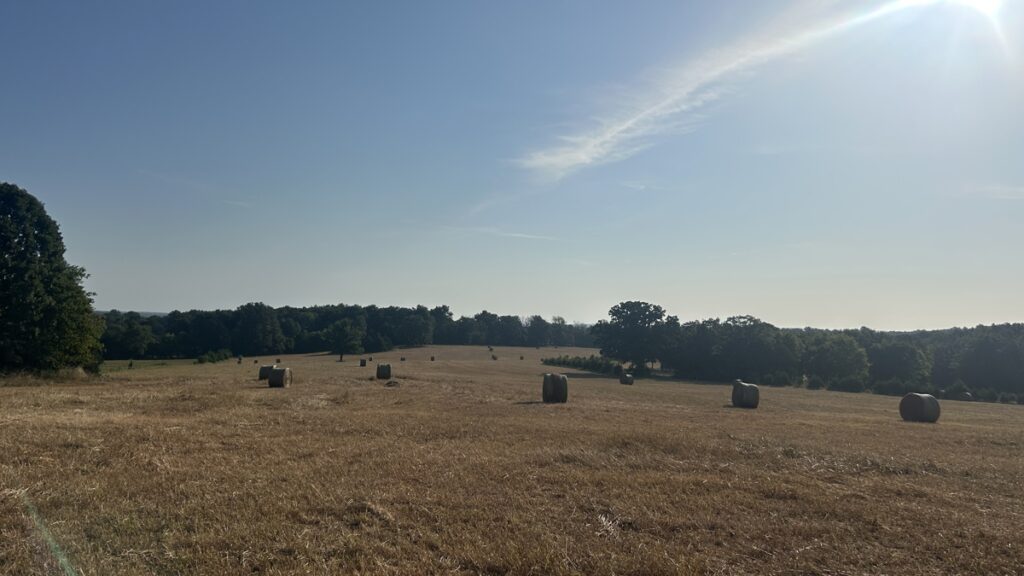 Property photo for land for sale in Sharp County Arkansas