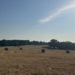 Property photo for land for sale in Sharp County Arkansas