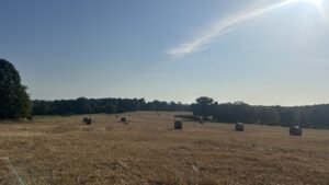 Property photo for land for sale in Sharp County Arkansas