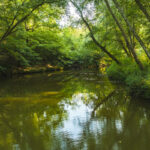 Property photo for land for sale in Caldwell County North Carolina