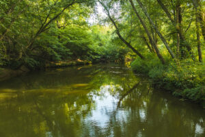 Property photo for land for sale in Caldwell County North Carolina