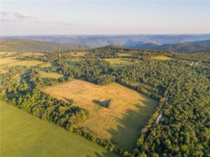 Property photo for land for sale in Newton County Arkansas