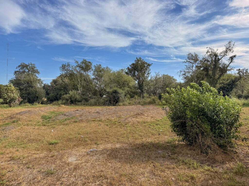 Property photo for land for sale in Live Oak County Texas