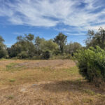 Property photo for land for sale in Live Oak County Texas