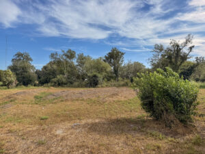 Property photo for land for sale in Live Oak County Texas