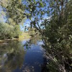 Property photo for land for sale in Rio Arriba County New Mexico