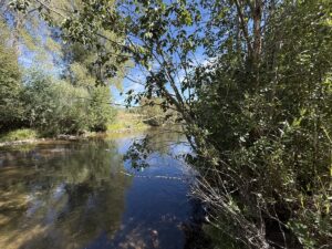 Property photo for land for sale in Rio Arriba County New Mexico