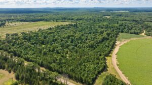 Property photo for land for sale in Adams County Wisconsin