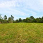 Property photo for land for sale in Metcalfe County Kentucky