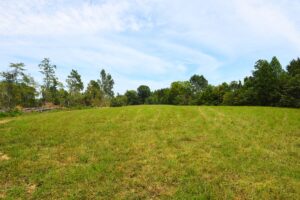 Property photo for land for sale in Metcalfe County Kentucky
