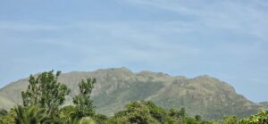 Property photo for land for sale in  County Panama