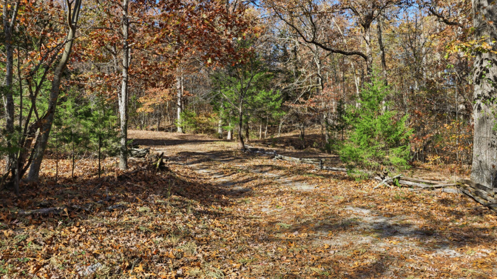 28380930-5b57-41a0-8afd-07b55ac5ac29.jpg