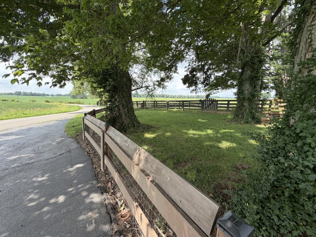 2975b654-3d11-46d8-b666-2221f0195835.jpg
