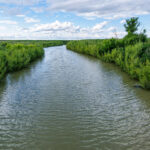 Property photo for land for sale in Phillips County Montana