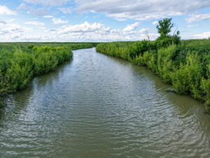 Property photo for land for sale in Phillips County Montana