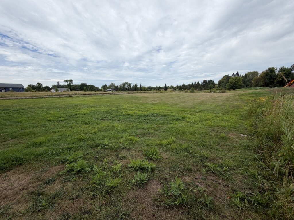 29faa7c6-d262-4d75-b1b7-014f5592e7ad.jpg