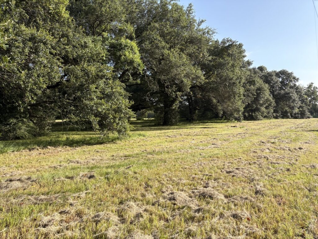 Property photo for land for sale in Lafayette County Louisiana