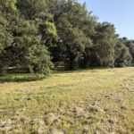 Property photo for land for sale in Lafayette County Louisiana