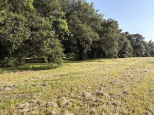 Property photo for land for sale in Lafayette County Louisiana