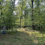 Property photo for land for sale in Pine County Minnesota