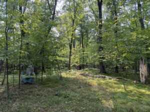 Property photo for land for sale in Pine County Minnesota