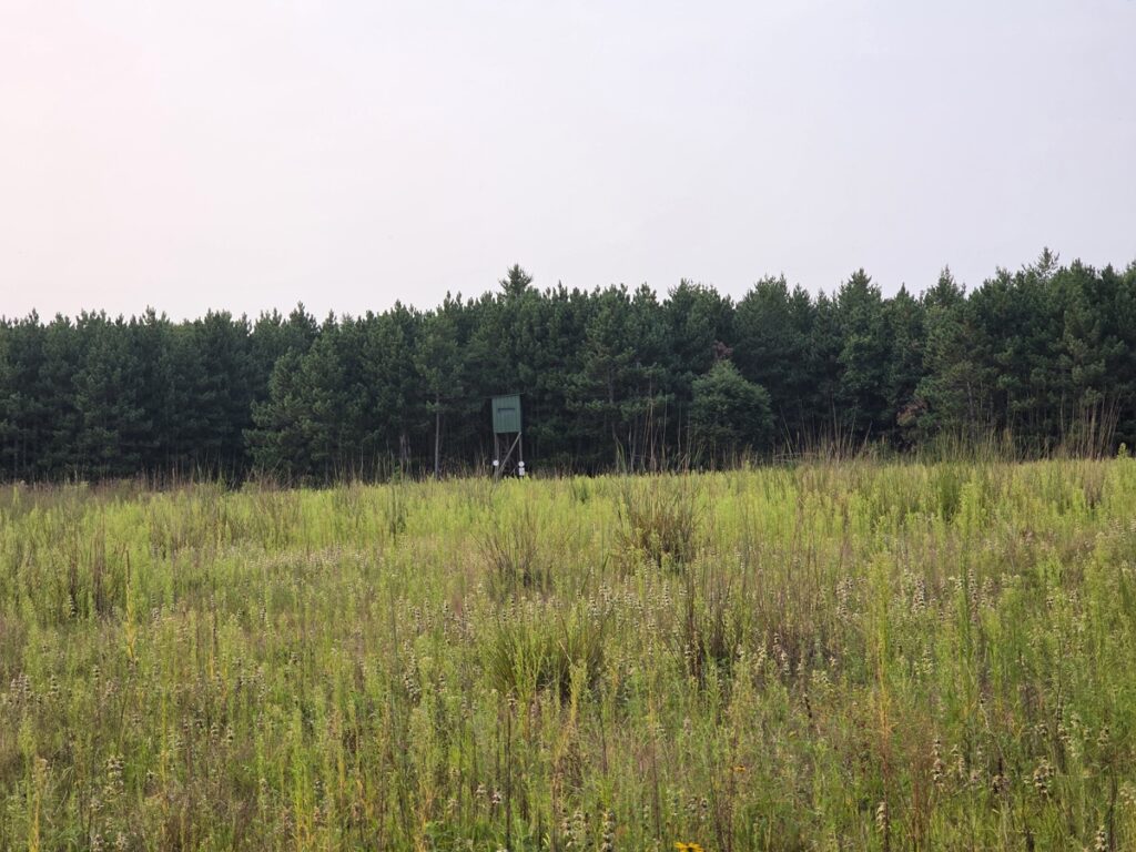 2b8541e8-3bf7-4d52-975e-fbeed092dbe0.jpg