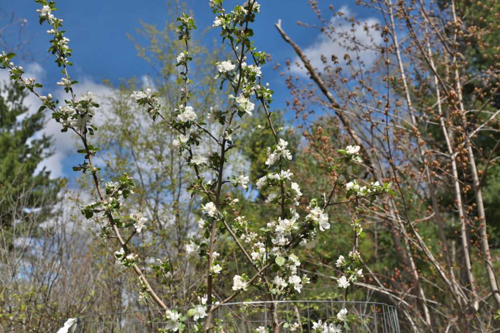 2c9cebef-0355-4101-a166-be9d36338d14.jpg