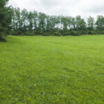 Property photo for land for sale in Floyd County Virginia