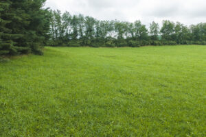 Property photo for land for sale in Floyd County Virginia