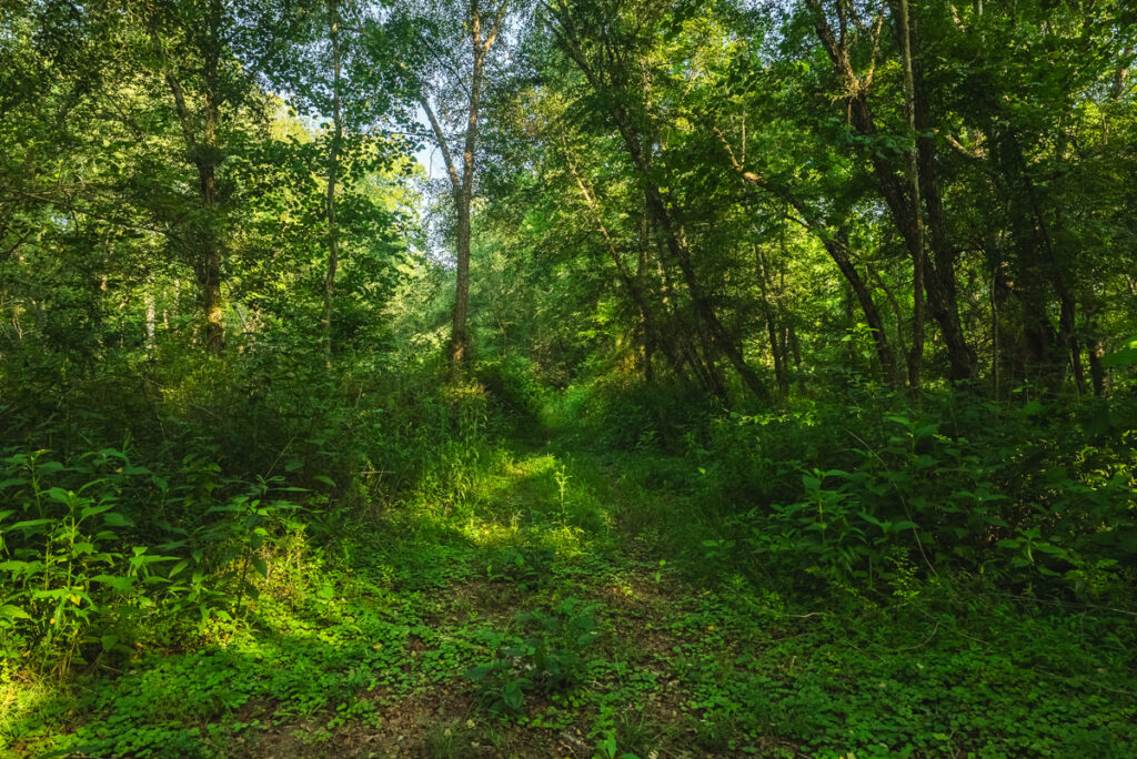 2d9e0ec5-3533-4a6a-a5e4-26e311c30b20.jpg