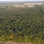 Property photo for land for sale in Little River County Arkansas