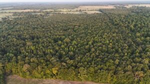 Property photo for land for sale in Little River County Arkansas
