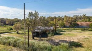 Property photo for land for sale in Hall County Texas