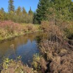 Property photo for land for sale in Montmorency County Michigan