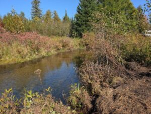 Property photo for land for sale in Montmorency County Michigan