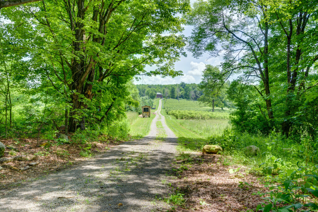 Property photo for land for sale in Herkimer County New York
